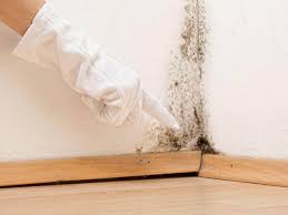 Best Mold Remediation for Vacation Homes  in Ashton, ID